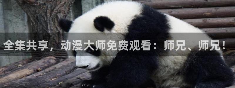 动漫之家看不了漫画